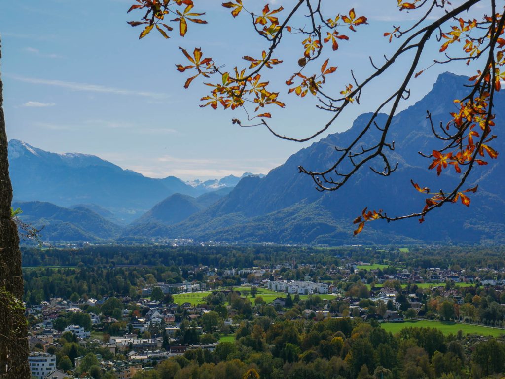 Salzburg mit Baum