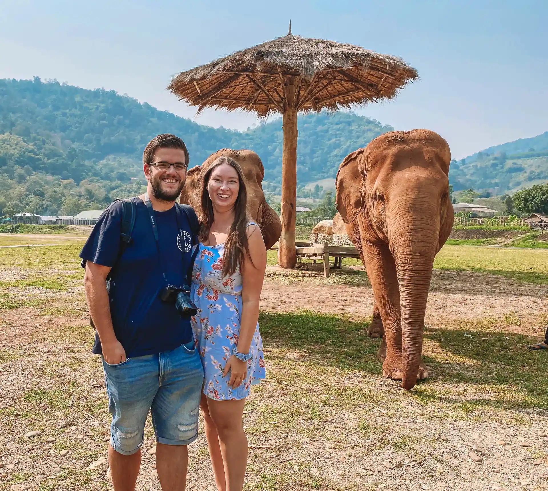 Elefanten in Chiang Mai in Thailand