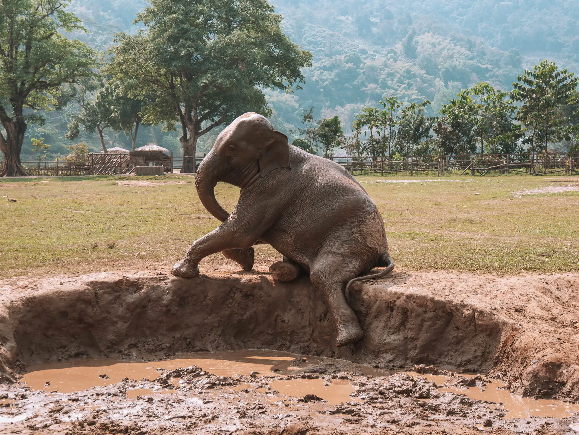 Ethisches Elephant Sanctaury in Chiang Mai