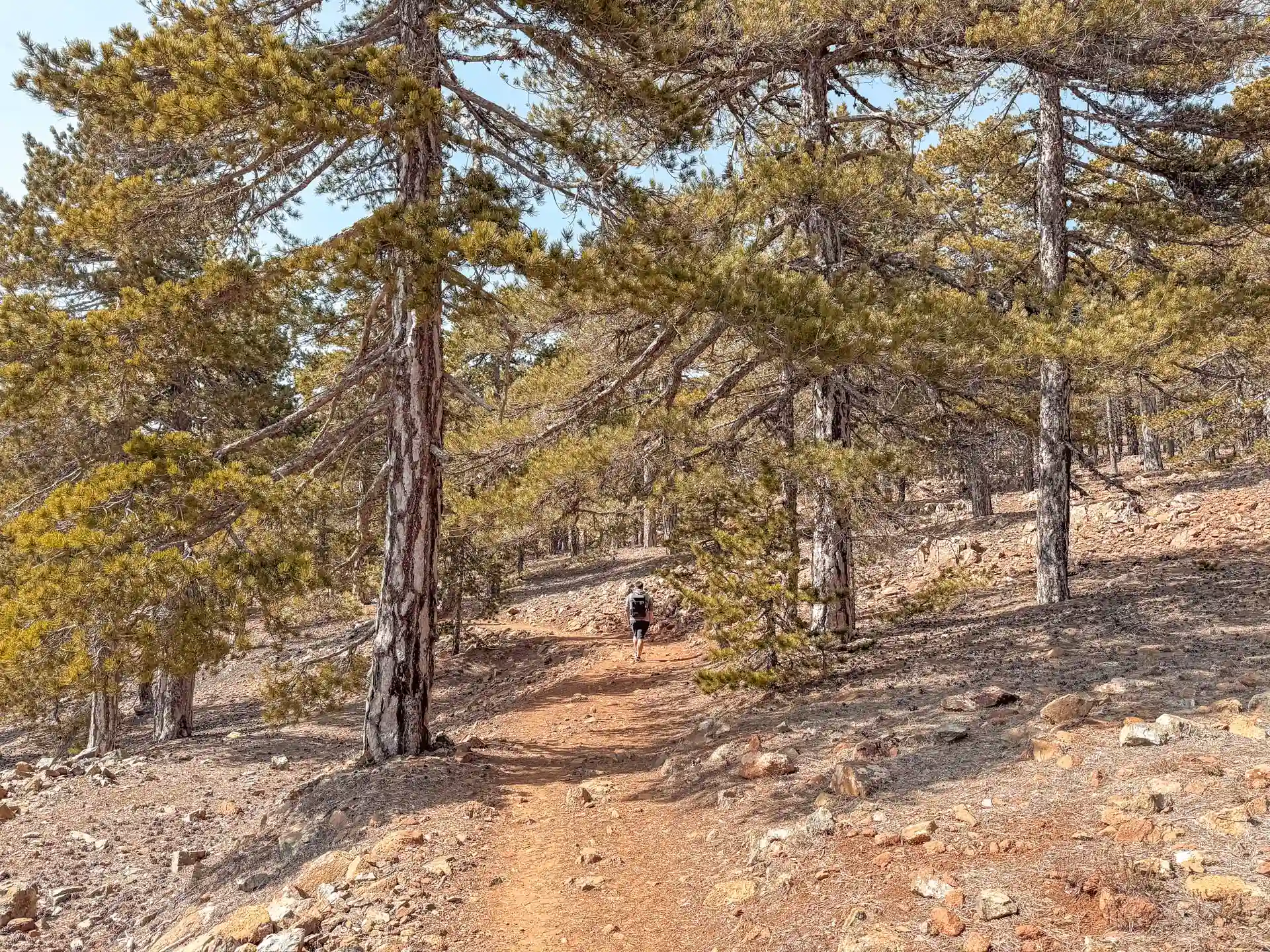 Wandern auf dem Artemis Trail im Troodos Gebirge auf Zypern