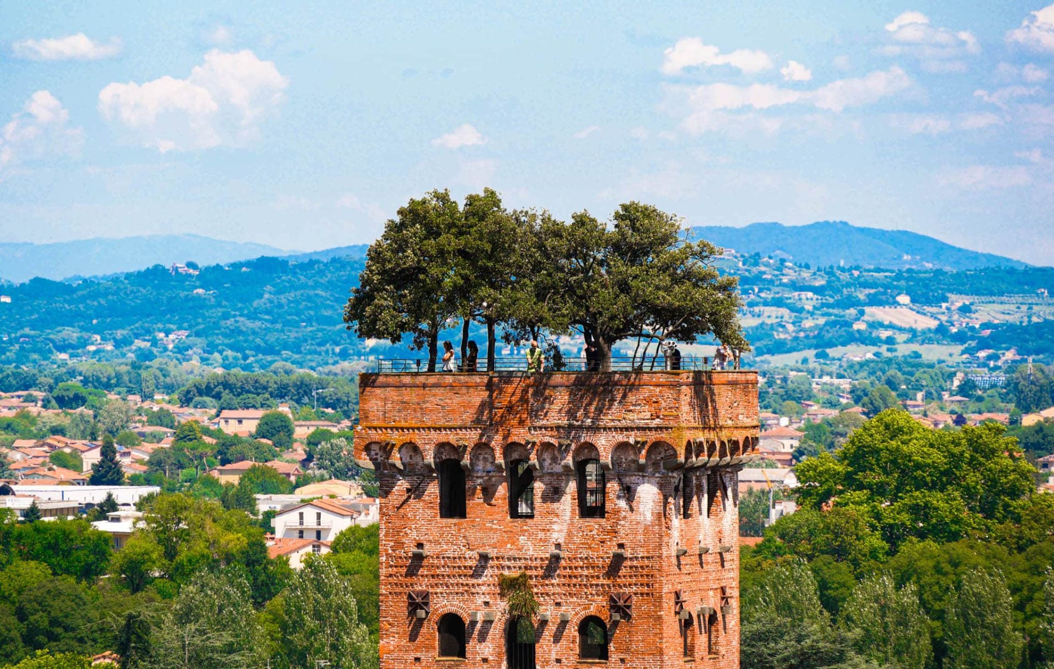 Lucca Torre Guinigi Turm