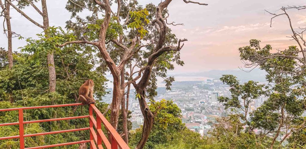 Viewpoints Phuket Monkey Hill